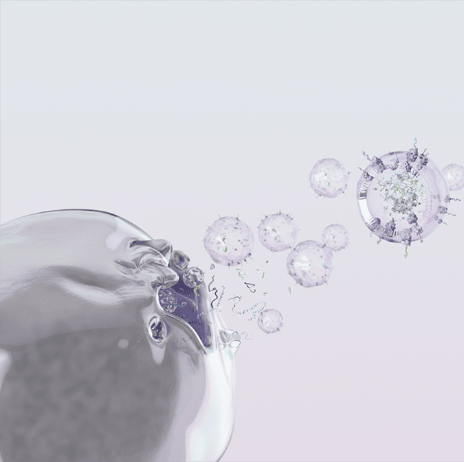 Light background with cell like organisms floating towards each other